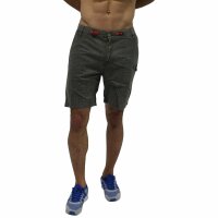 wawiHEROES ANERKJENDT Herrenshort HAGGI in Dusty Olive